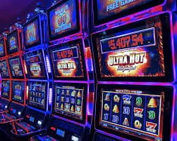 adult Bangladesh users following pkluk cricket betting with responsible gaming care